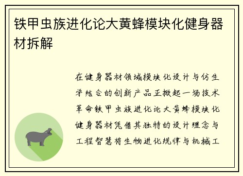 铁甲虫族进化论大黄蜂模块化健身器材拆解